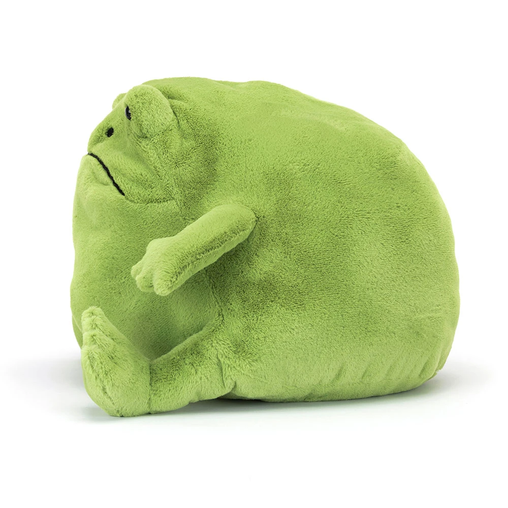 Ricky Rain Frog — image 6