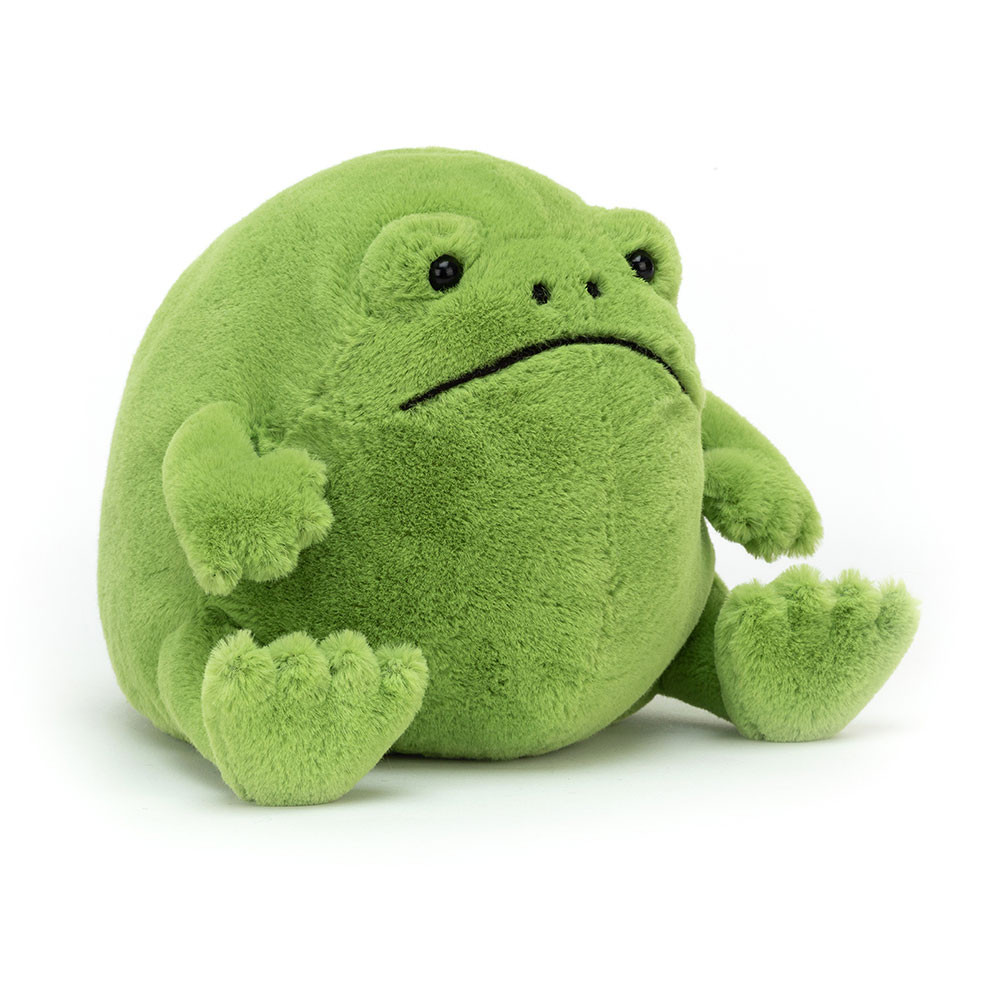 Ricky Rain Frog — image 7