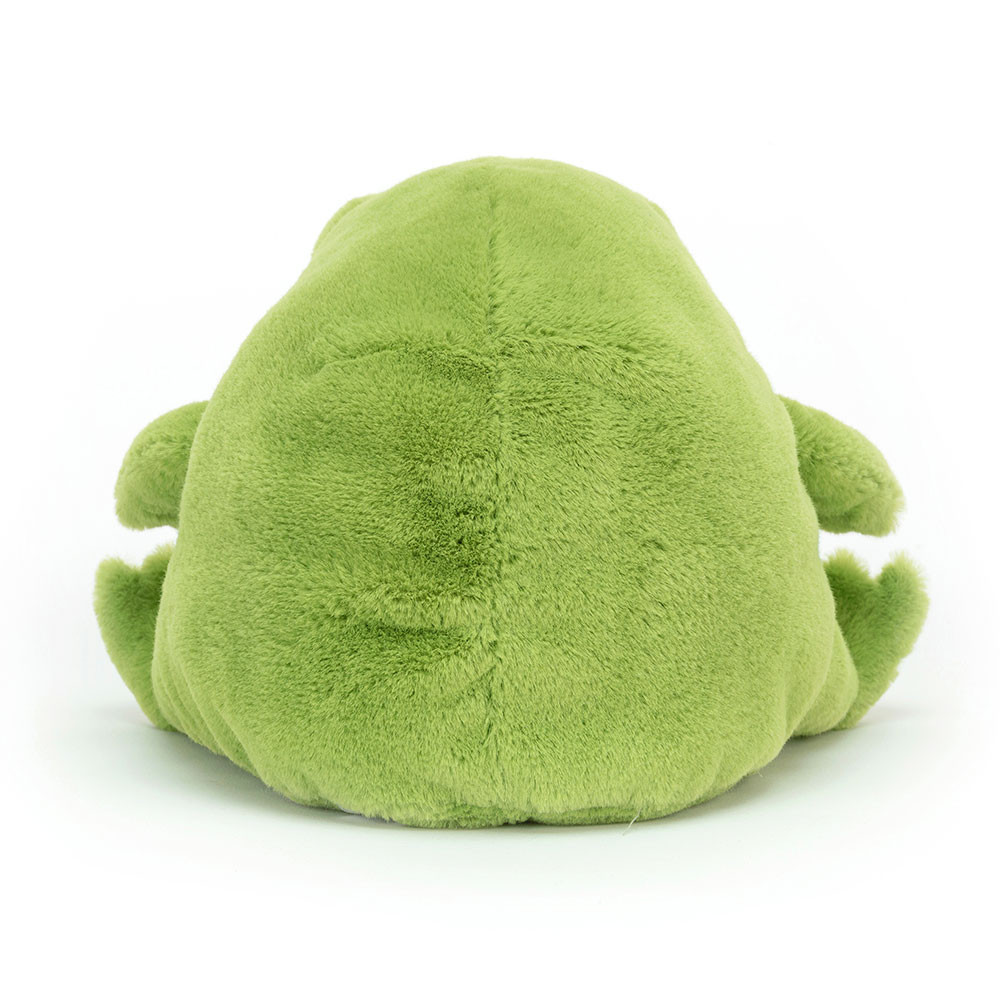 Ricky Rain Frog — image 9