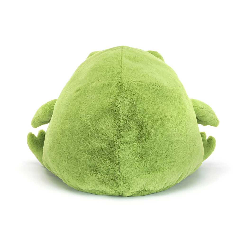 Ricky Rain Frog — image 10