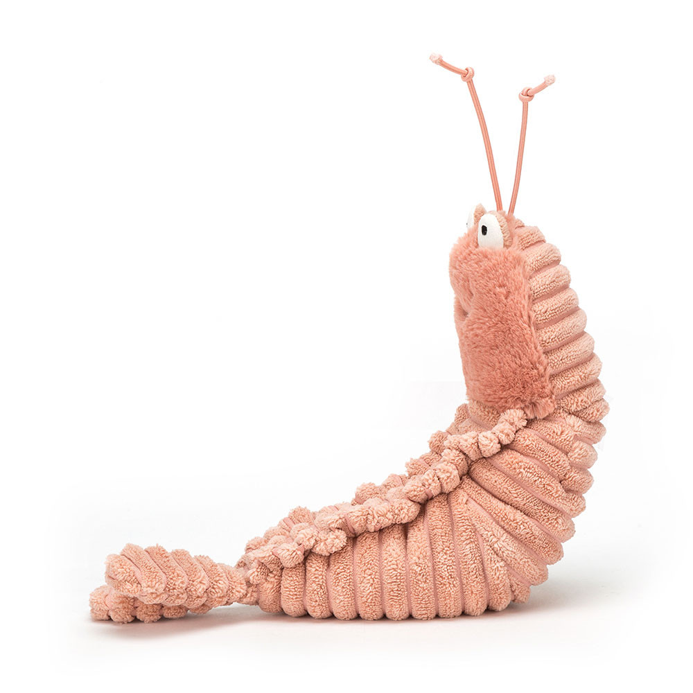 Sheldon Shrimp — image 2