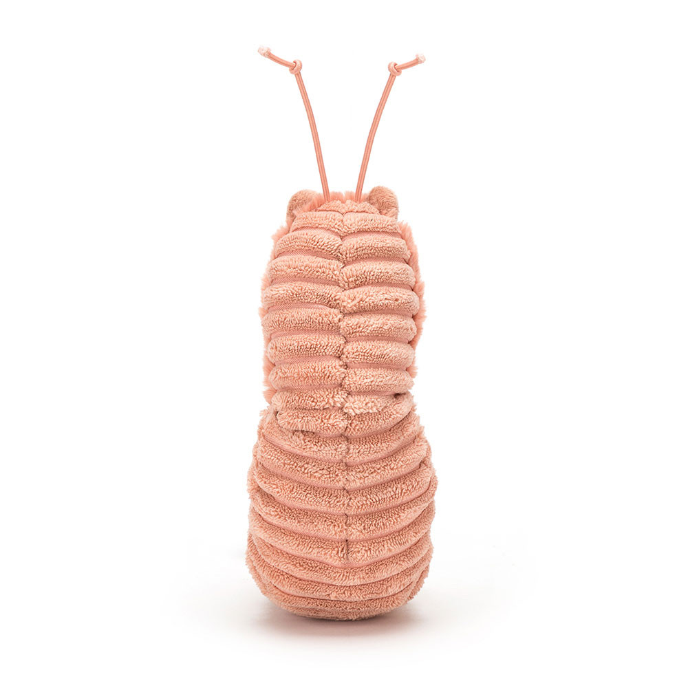 Sheldon Shrimp — image 3