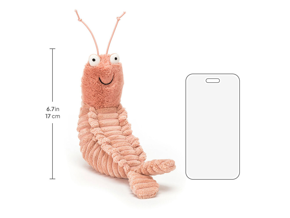 Sheldon Shrimp — image 4