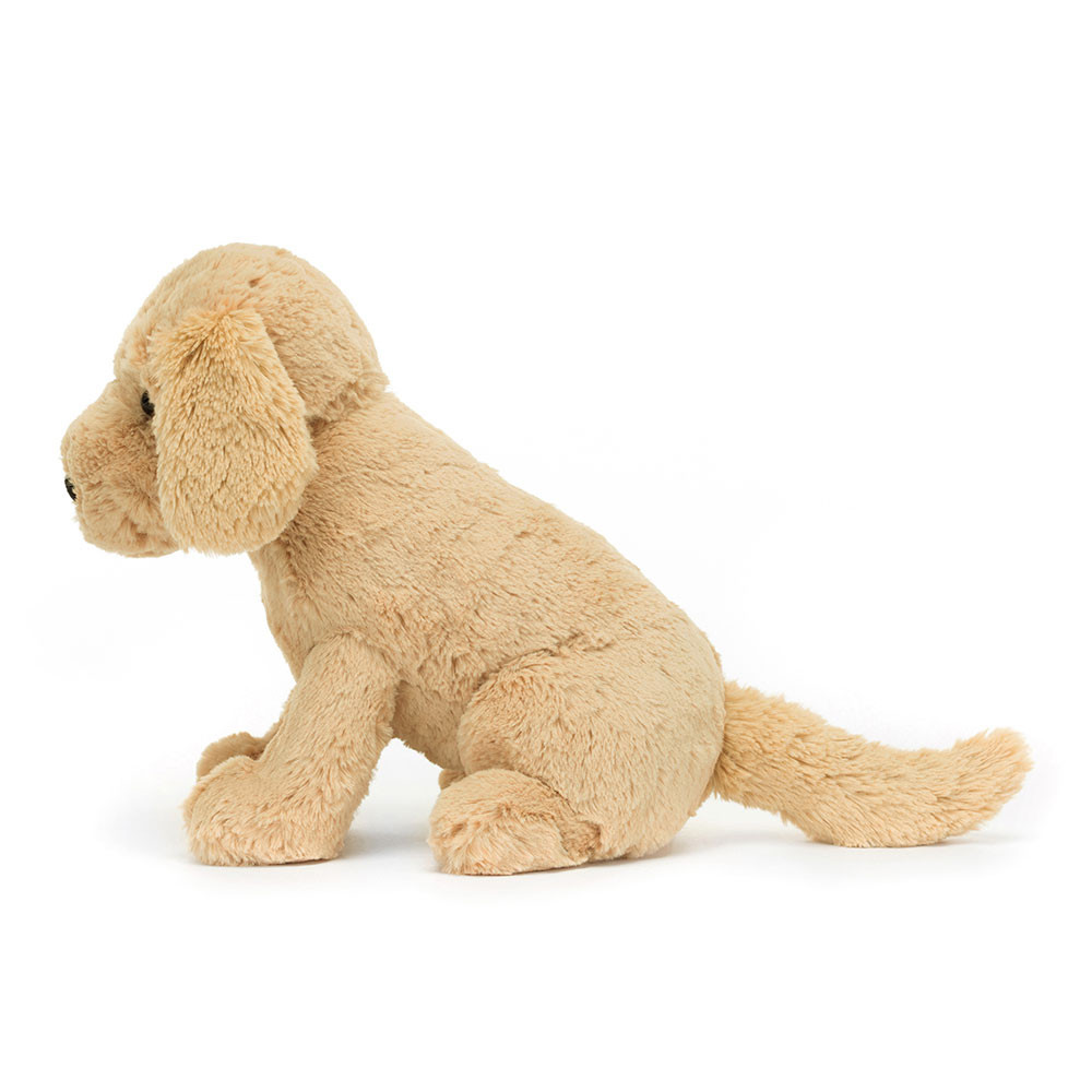 Tilly Golden Retriever — image 2