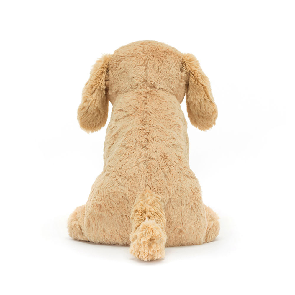 Tilly Golden Retriever — image 3