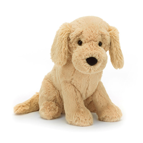 Tilly Golden Retriever — image 4
