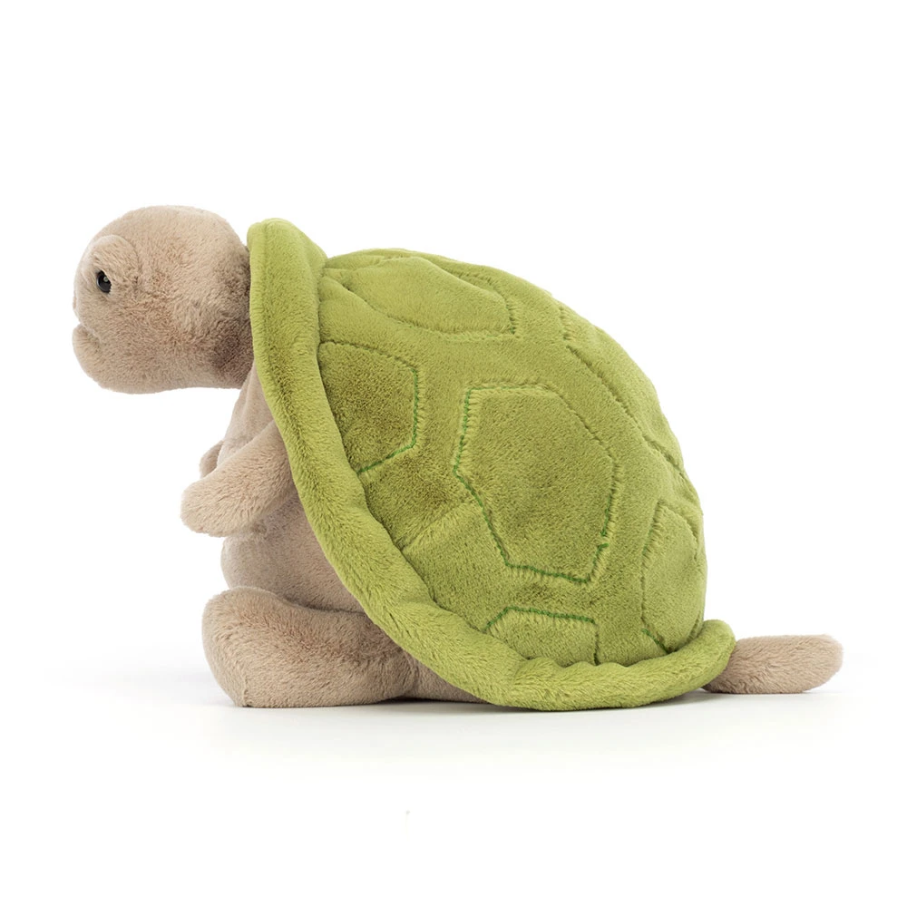 Timmy Turtle — image 2