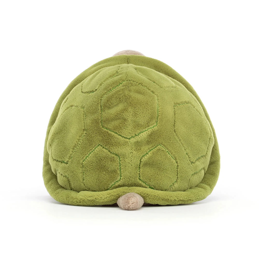 Timmy Turtle — image 3