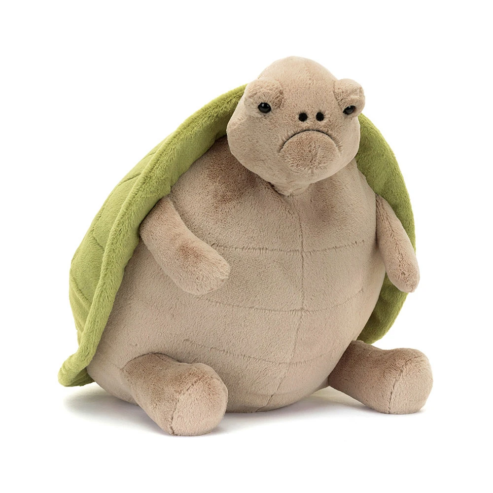 Timmy Turtle — image 4