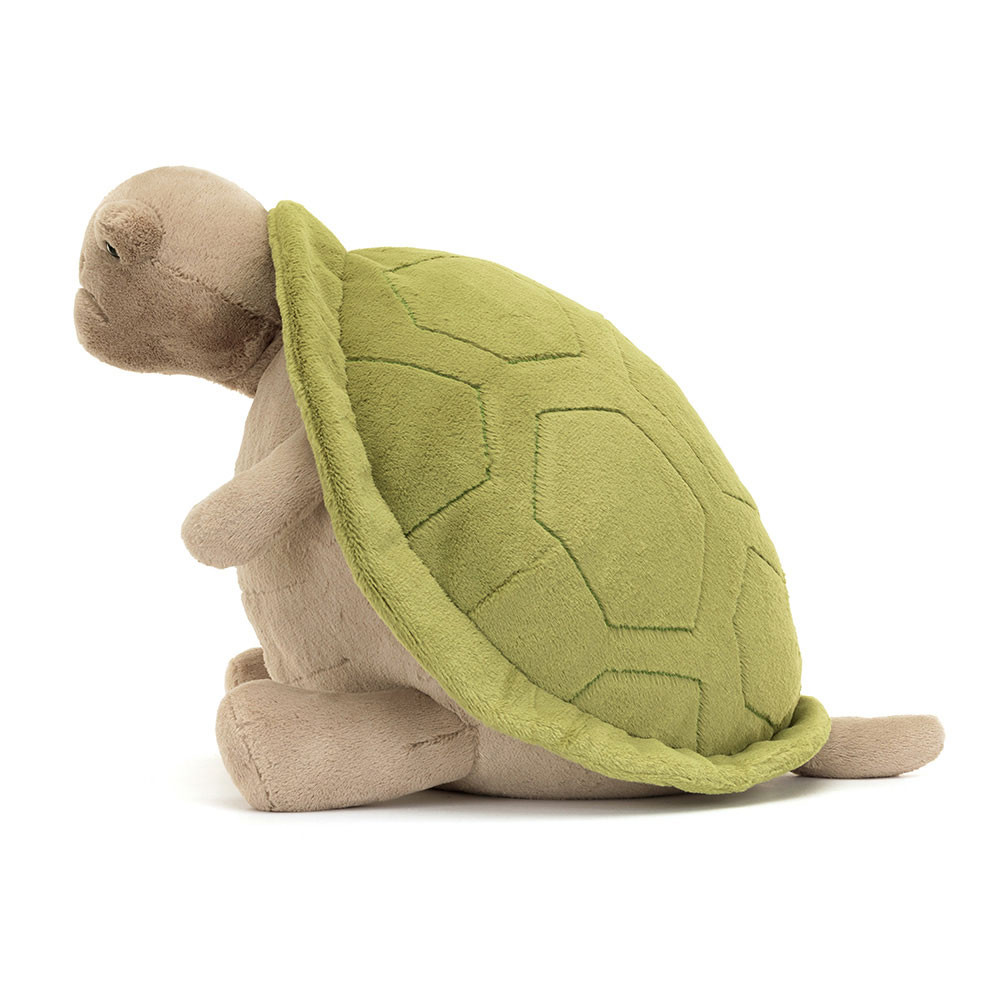 Timmy Turtle — image 5