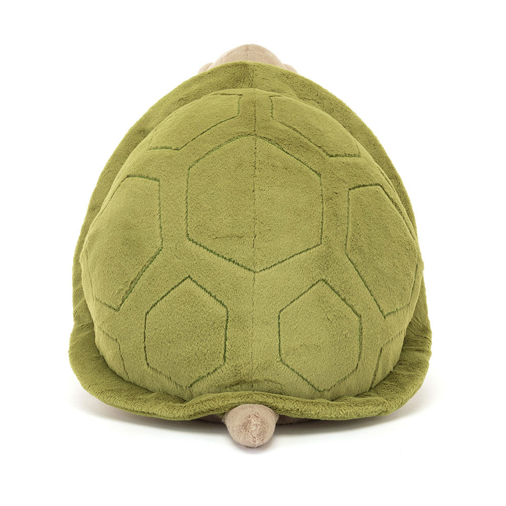 Timmy Turtle — image 6