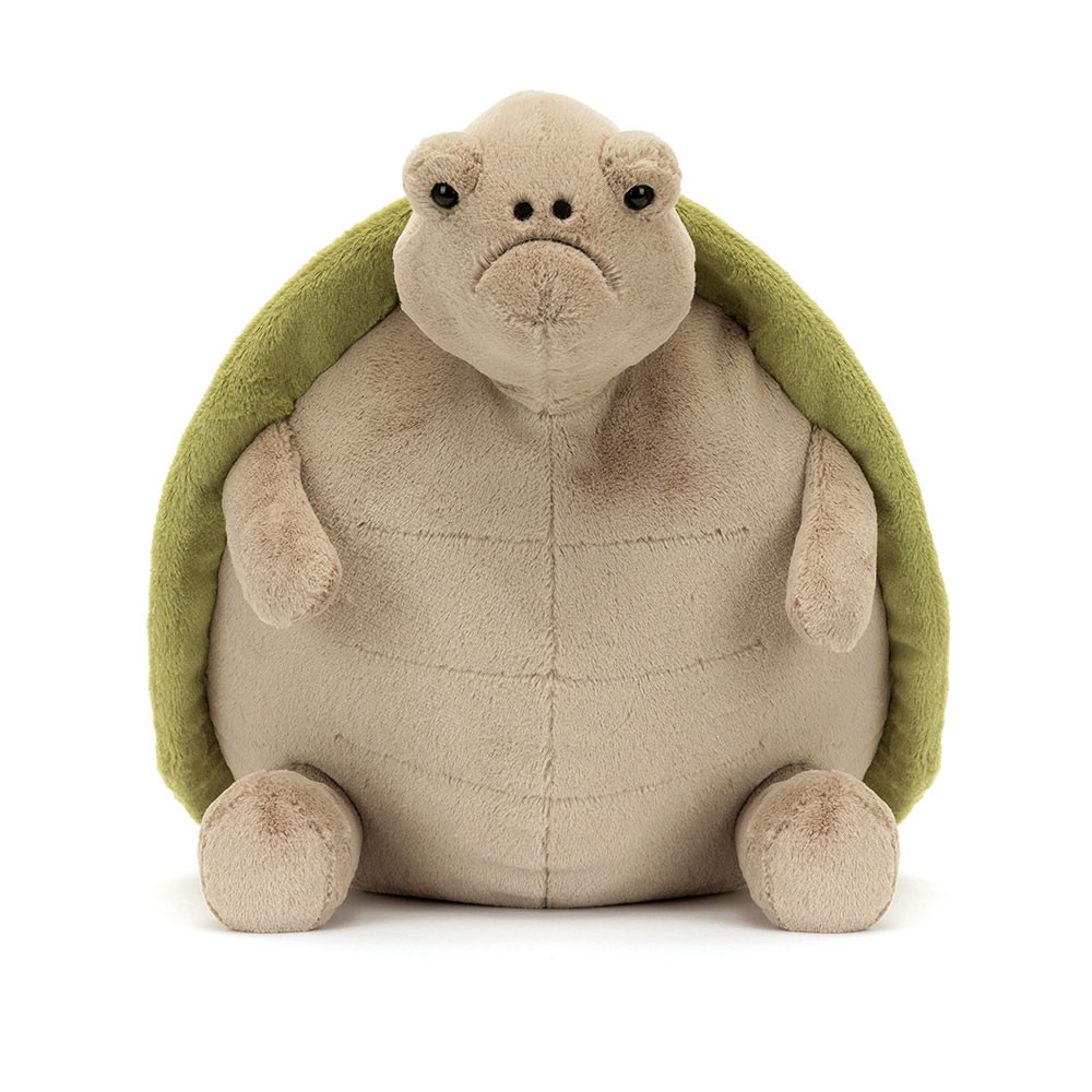 Timmy Turtle — image 7
