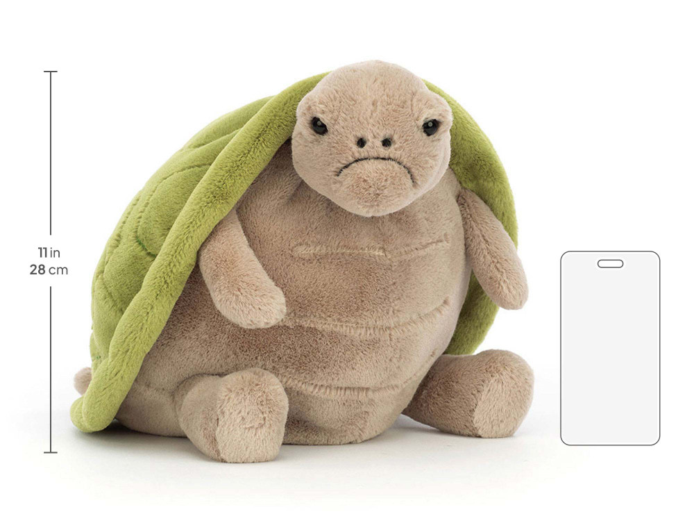 Timmy Turtle — image 8