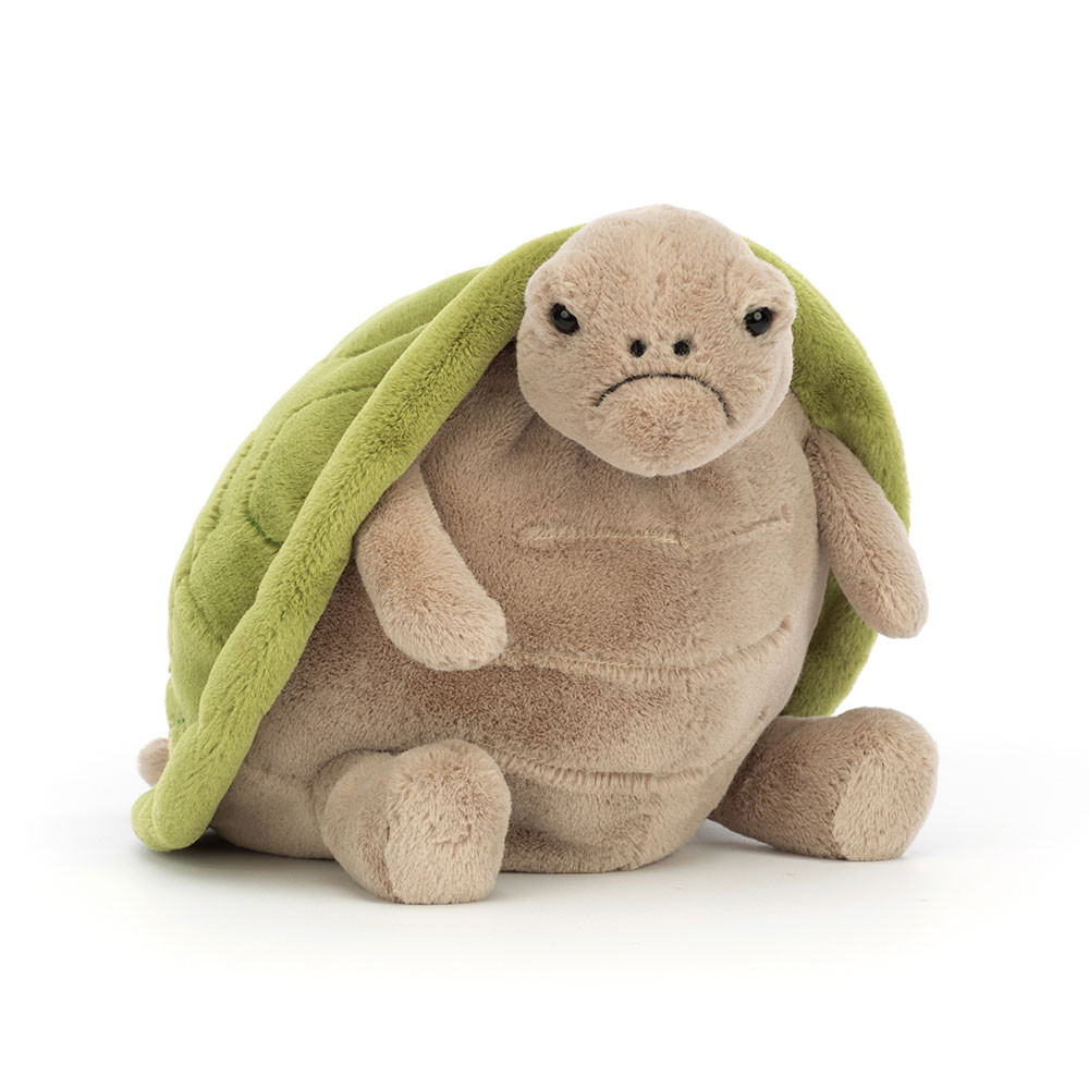 Timmy Turtle — image 9
