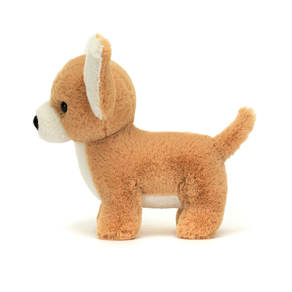 Isobel Chihuahua — image 2