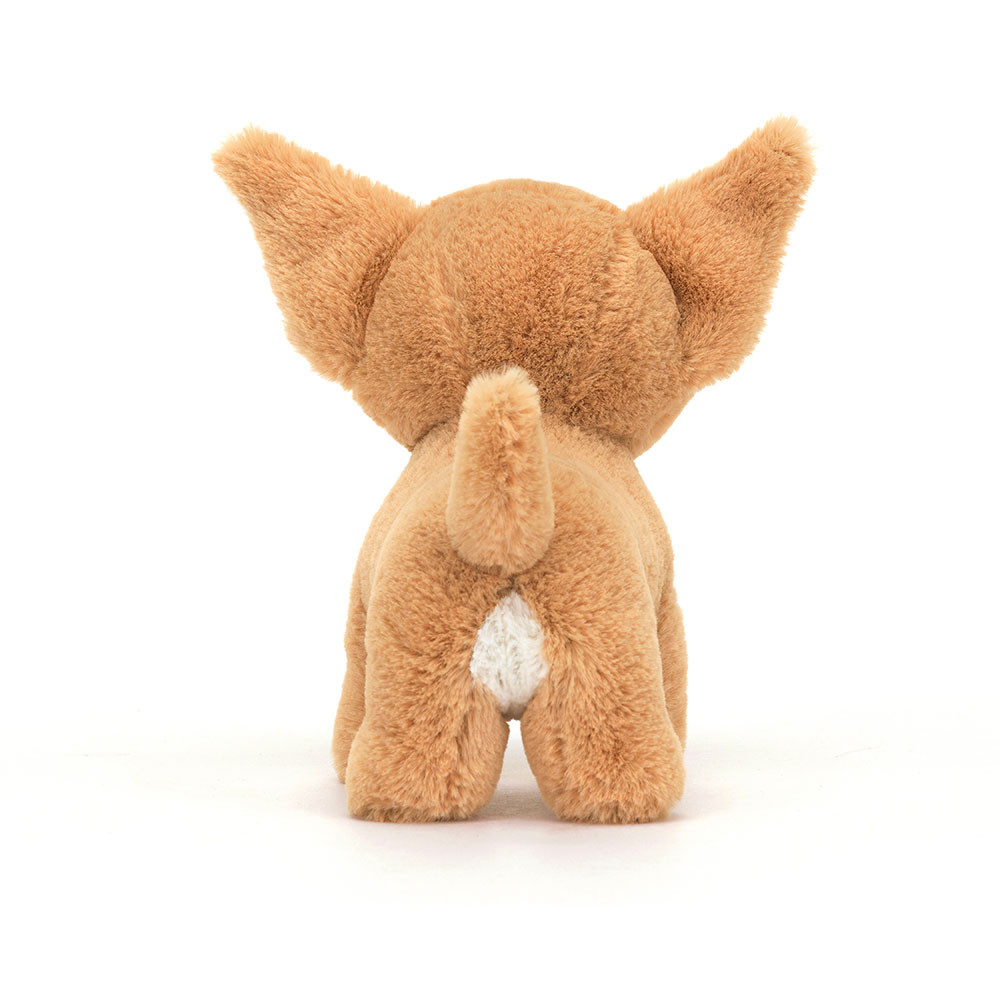 Isobel Chihuahua — image 3