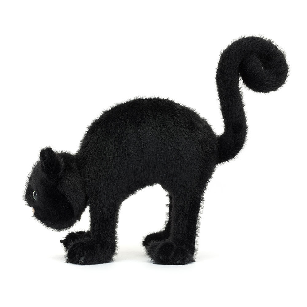 Spookipaws Cat — image 2