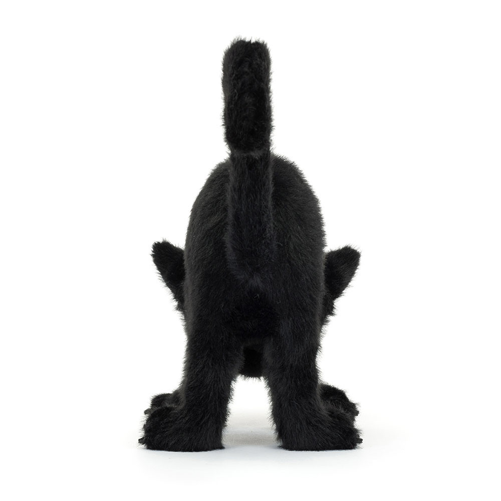 Spookipaws Cat — image 3