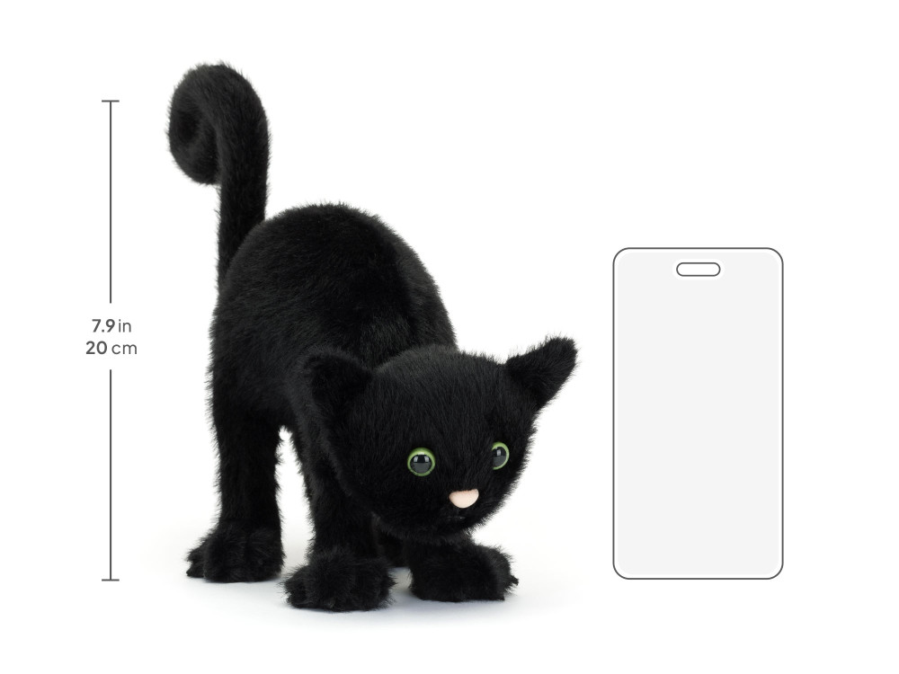 Spookipaws Cat — image 4