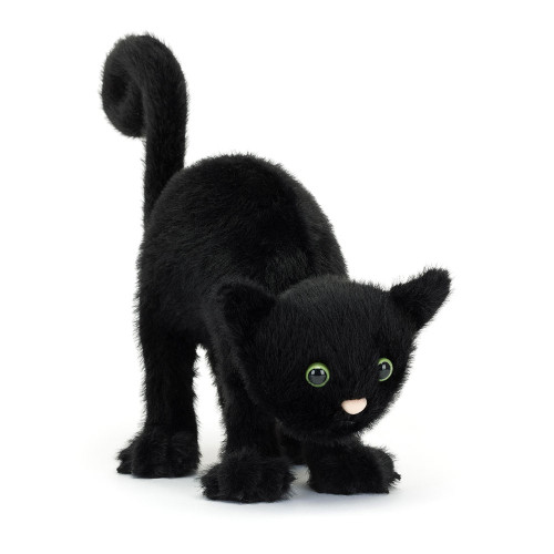 Spookipaws Cat — image 5