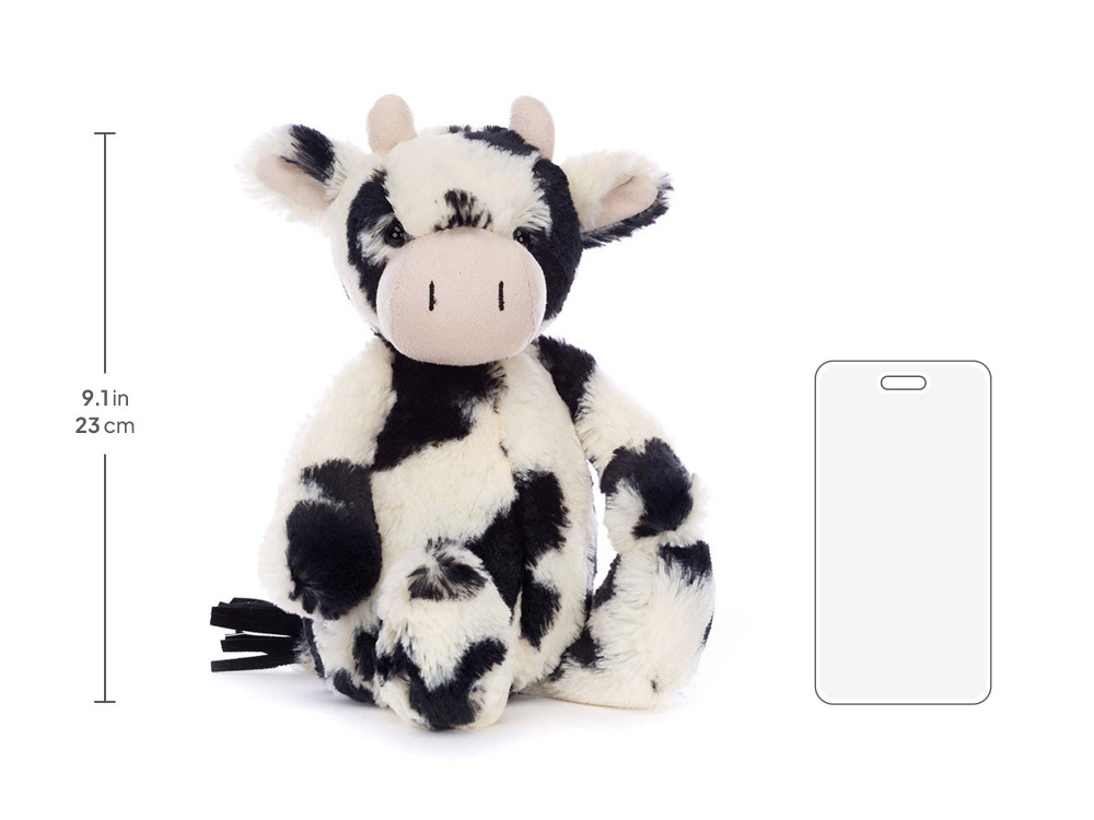Bashful Calf — image 3