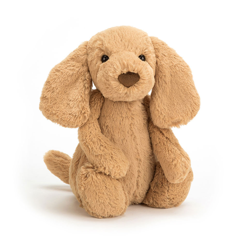 If I Were a Dog Board Book & Bashful Toffee Puppy Medium — image 7