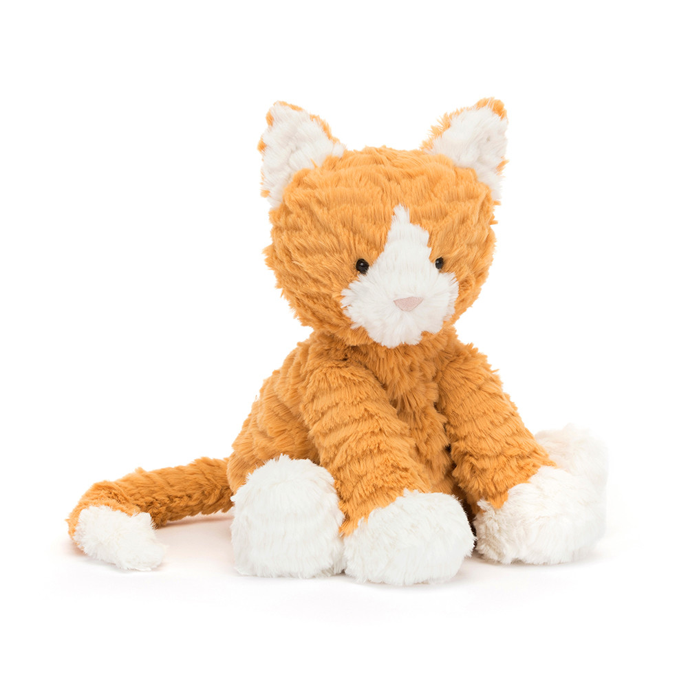Ginger, the Courageous Kitten Book and Fuddlewuddle Ginger Cat — image 3