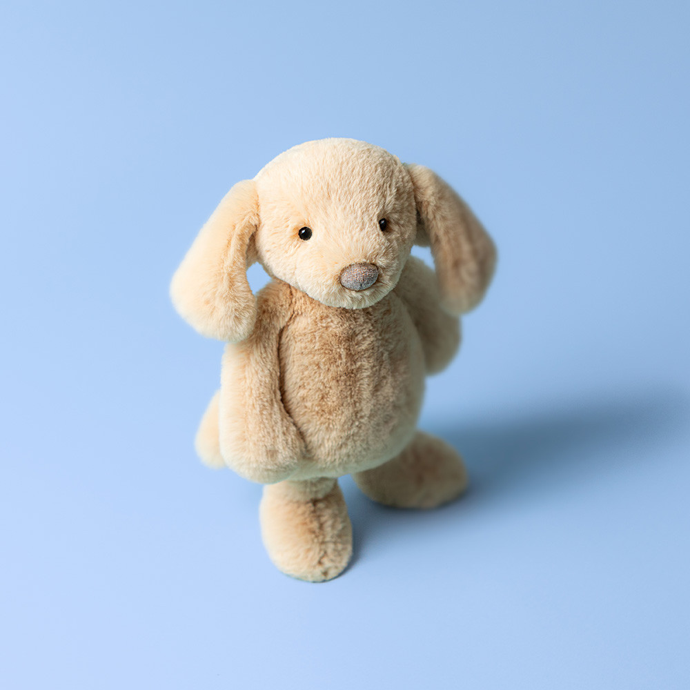Bashful Luxe Puppy Orlando — image 2