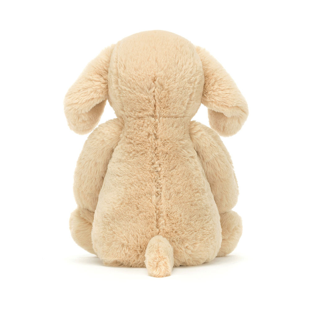 Bashful Luxe Puppy Orlando — image 4