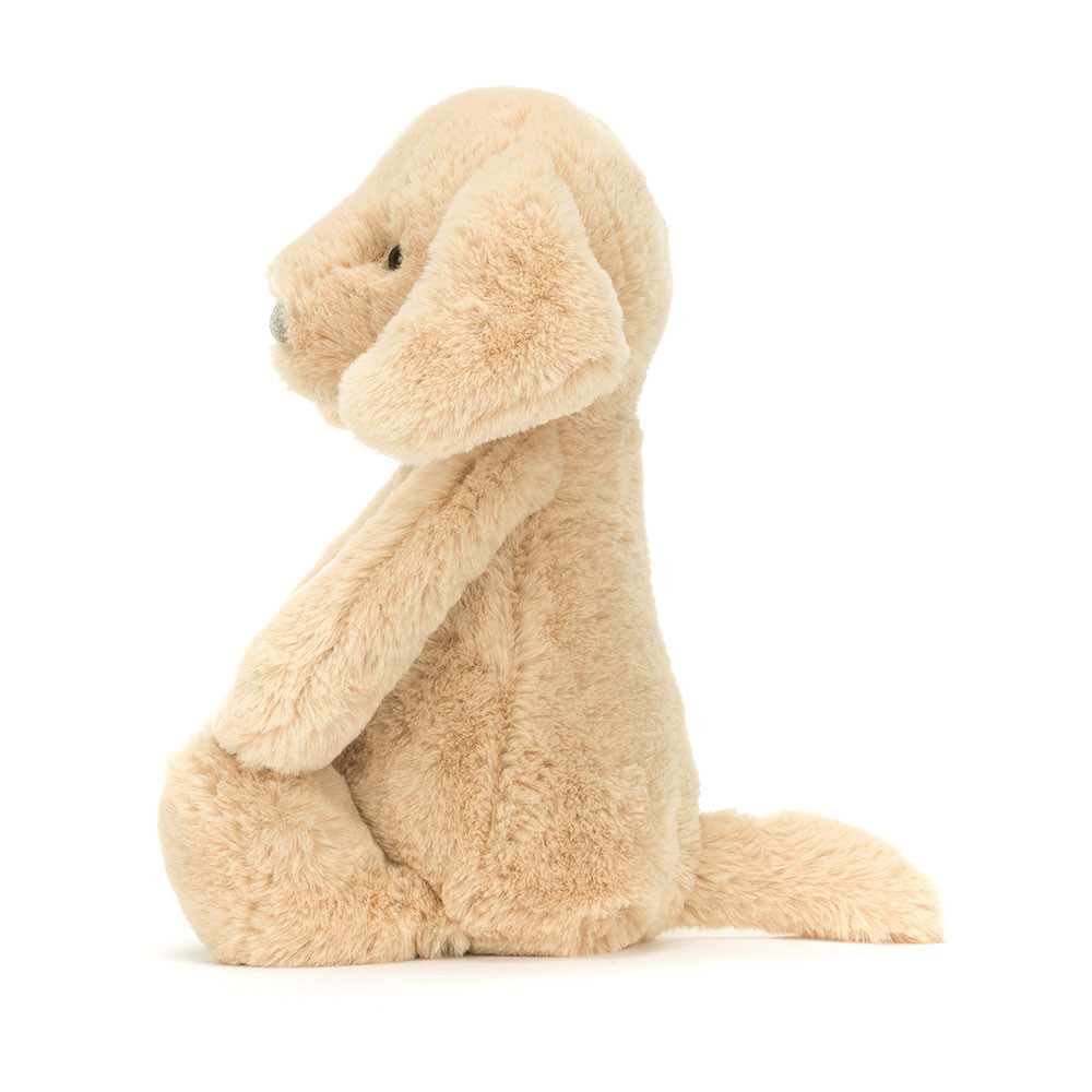 Bashful Luxe Puppy Orlando — image 8