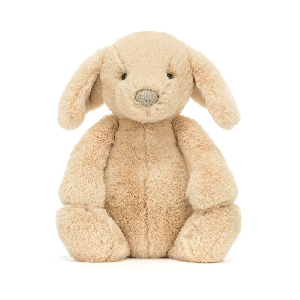 Bashful Luxe Puppy Orlando — image 10