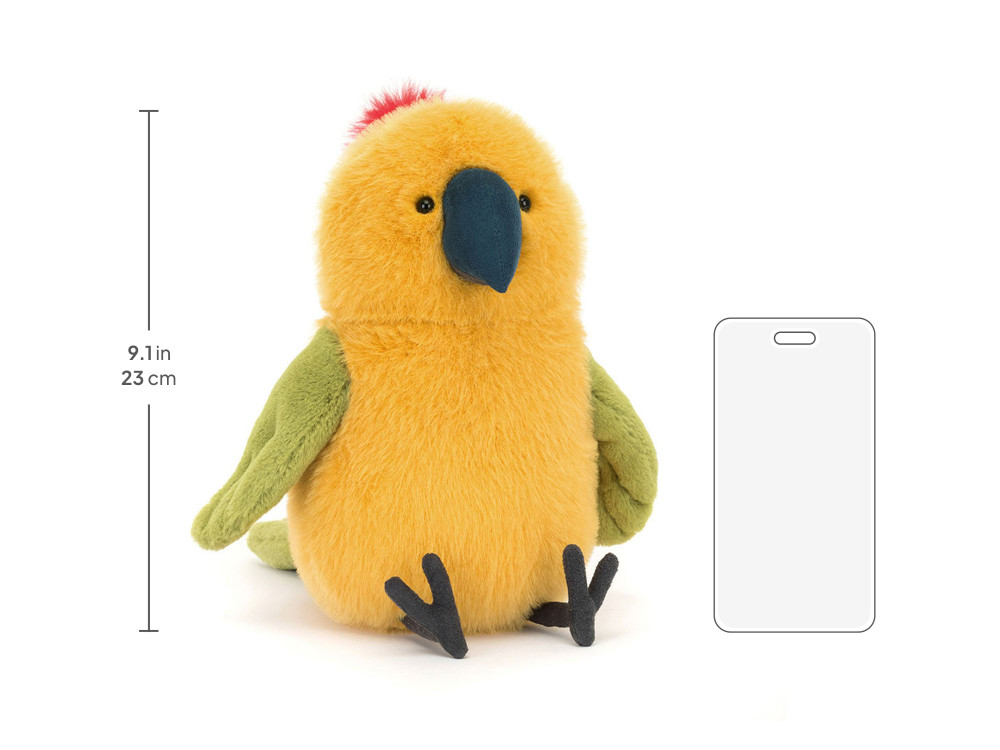Budgeby Parrot — image 5