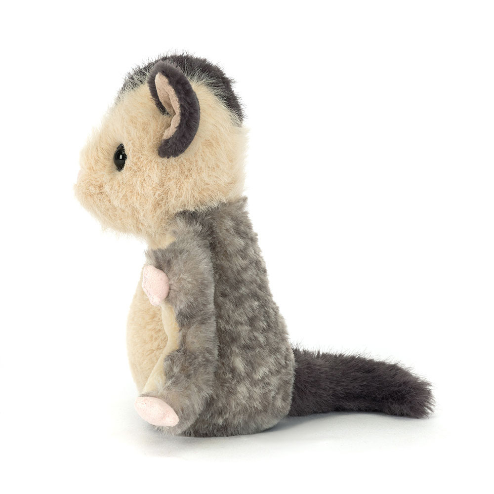 Lolly Sugar Glider — image 3