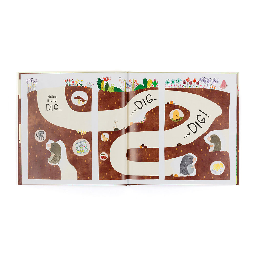 Muswell Mole and the Buried Treasure Book — image 2