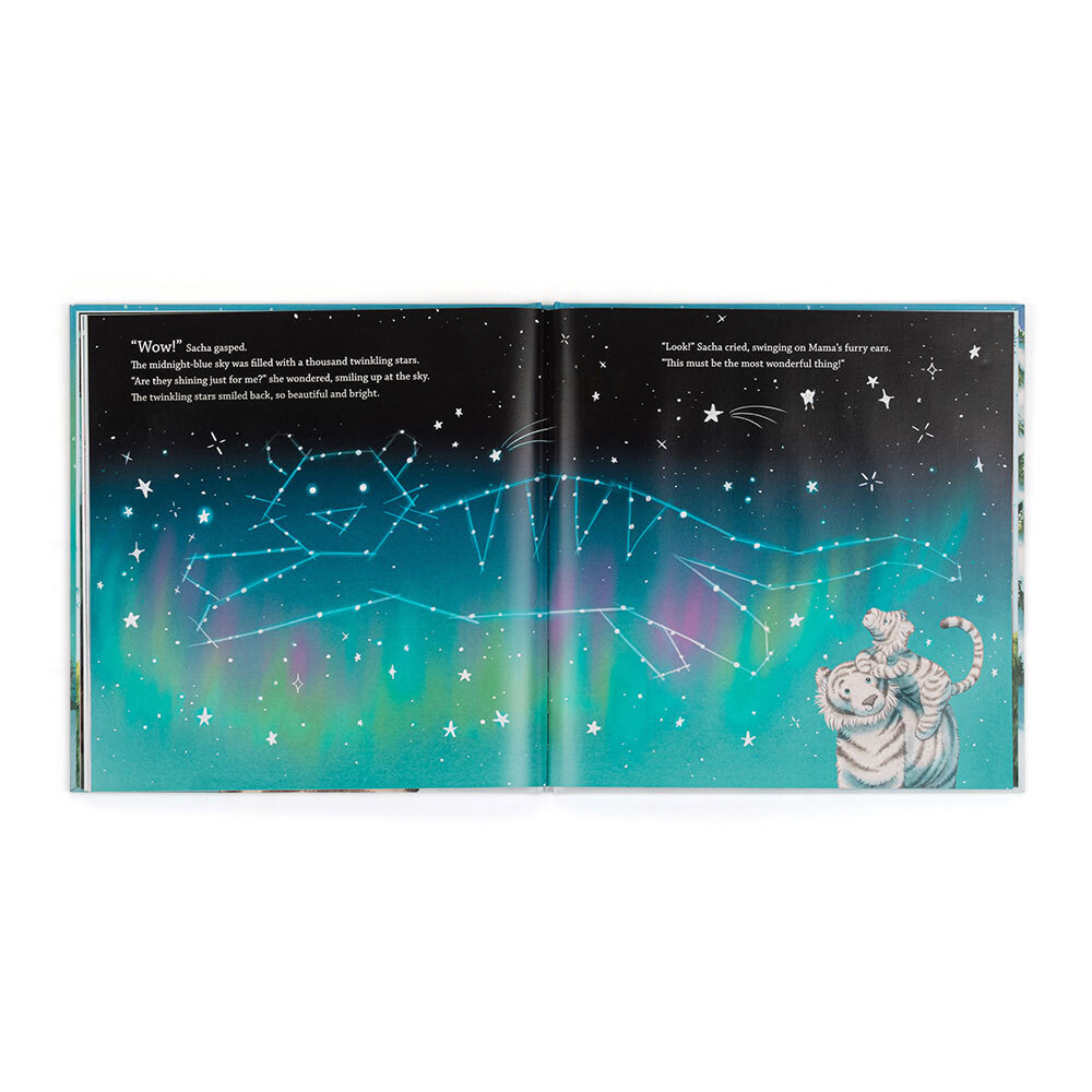 Sacha and the Most Wonderful Thing Book — image 3