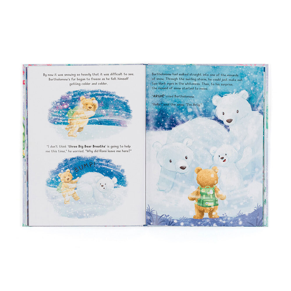 Bartholomew Bear and the Snow Giants Book — image 3