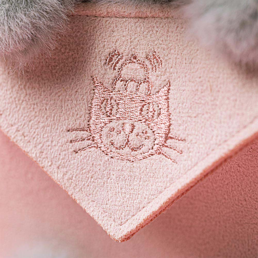Koala with Message — image 2