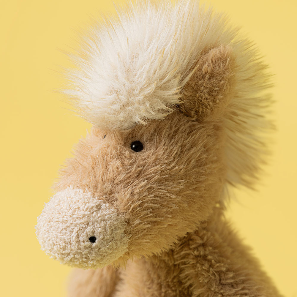 Canterneigh Pony — image 2