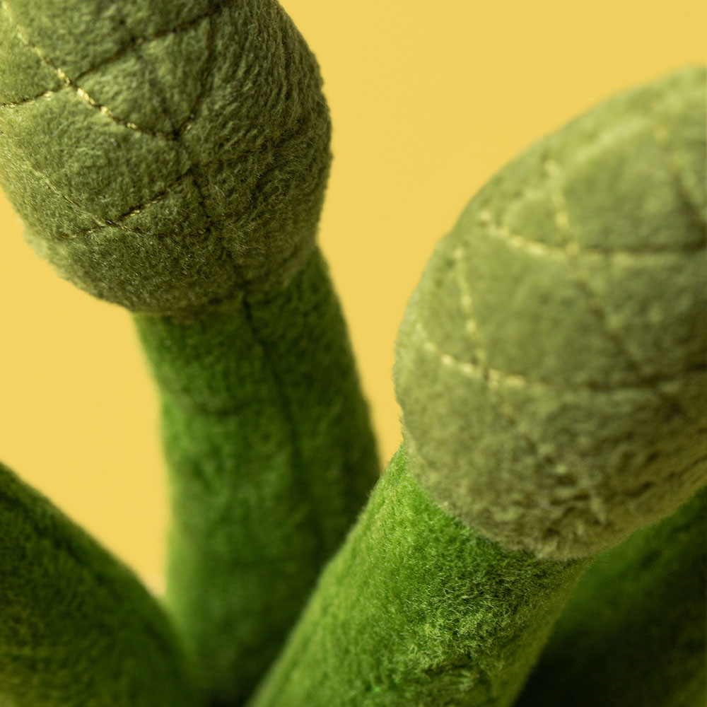 Amuseables Asparagus — image 2