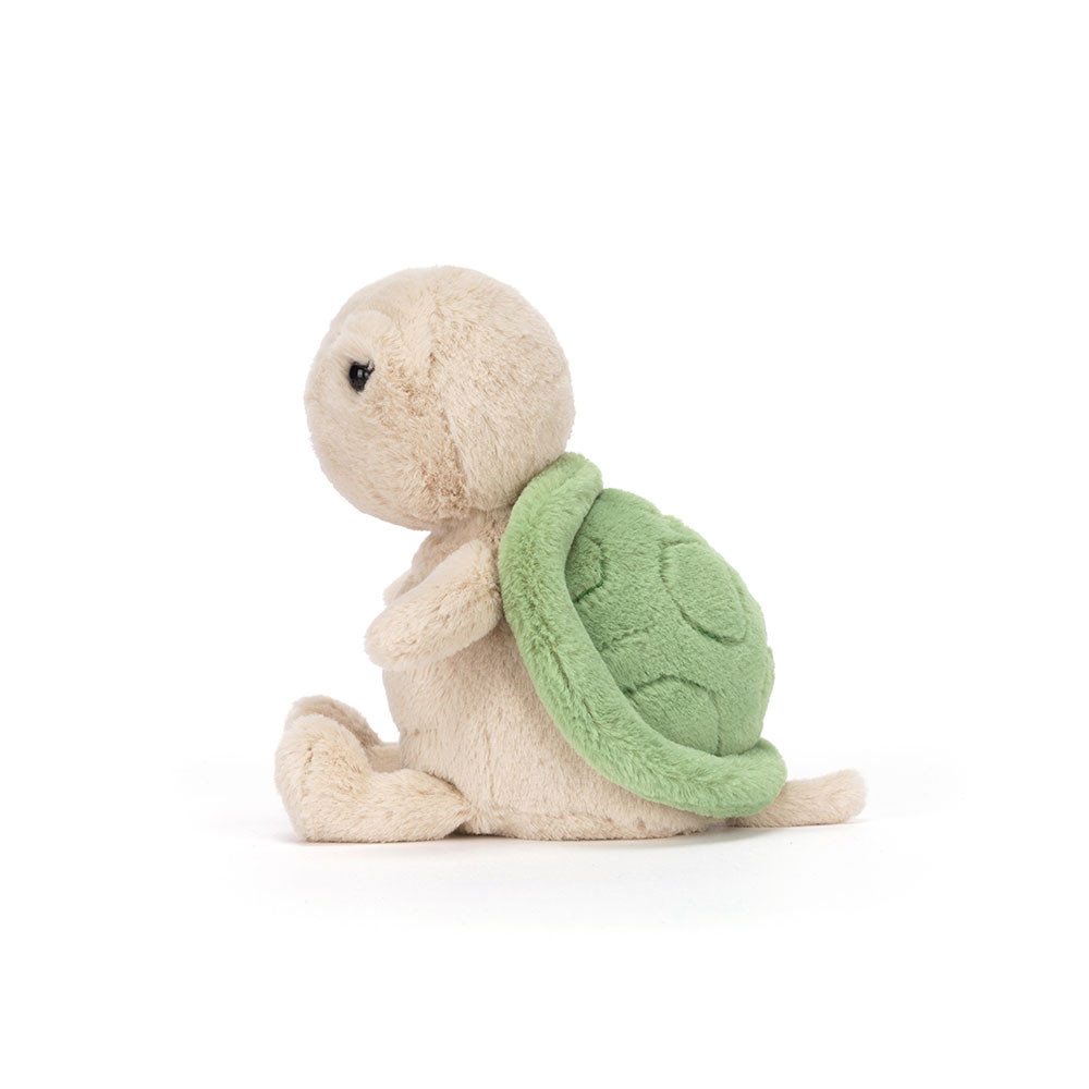 Thimble Turtle — image 3