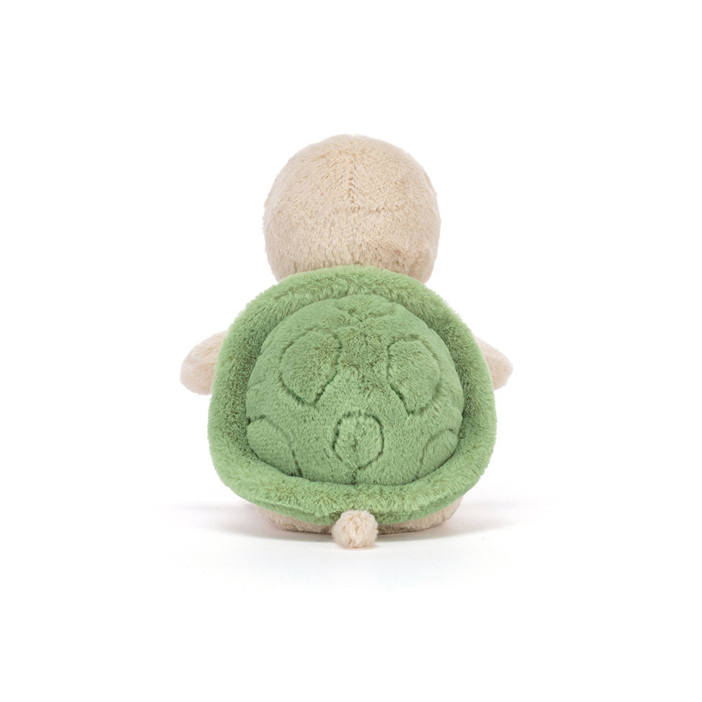 Thimble Turtle — image 4