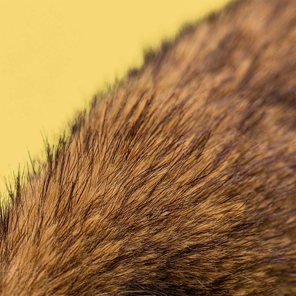 Hoppleston Luxe Bunny — image 2