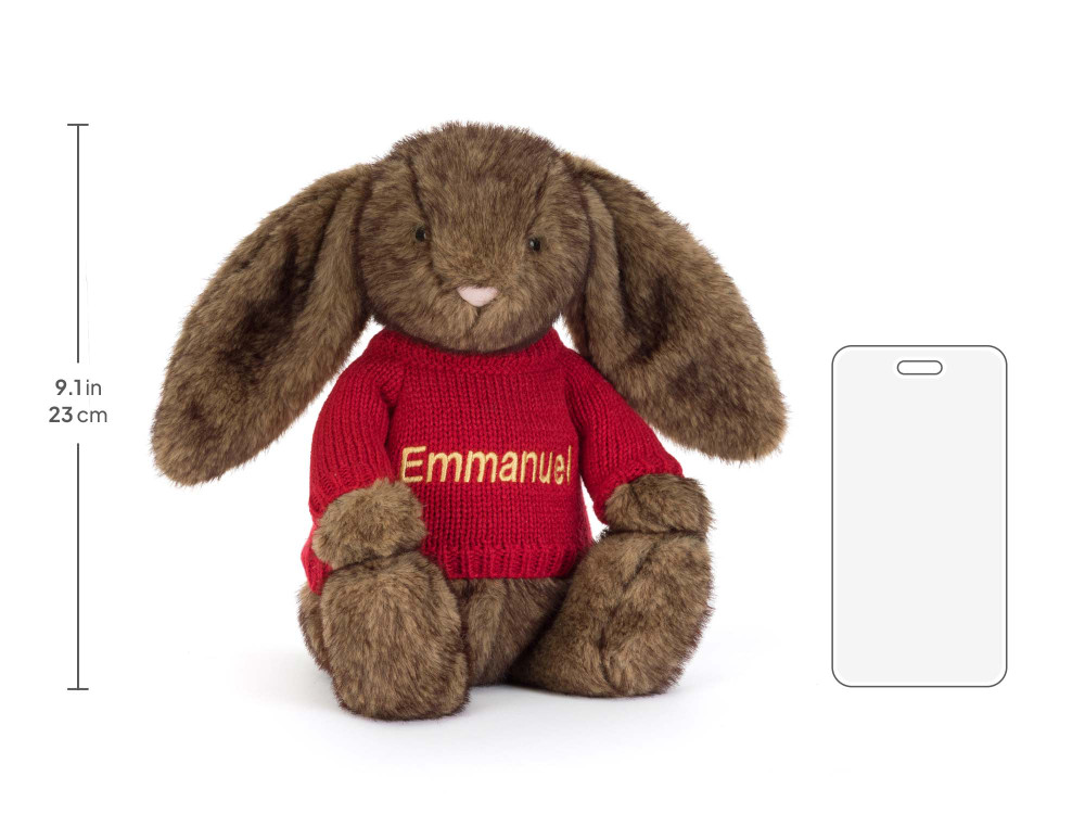 Hoppleston Luxe Bunny with Personalized Red Jumper — image 6