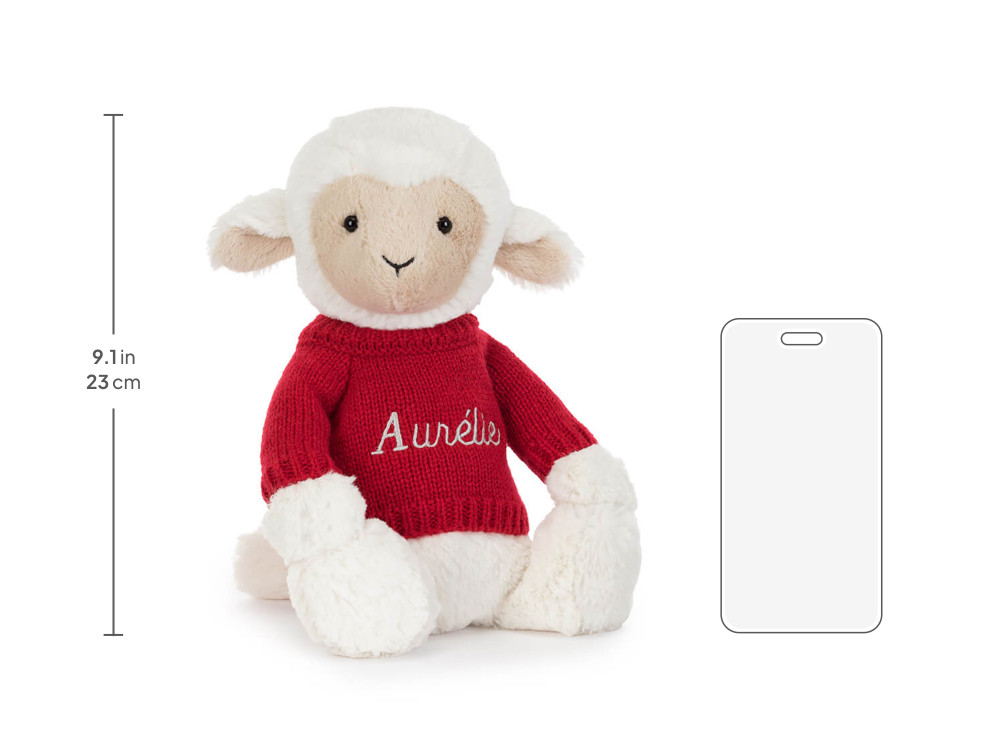 Skipson Lamb with Personalized Red Jumper — image 6