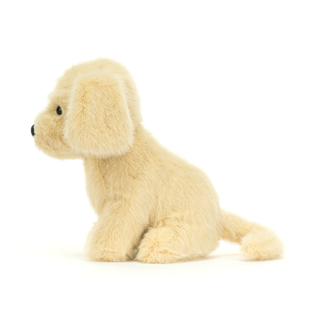 Golden Puppy — image 3