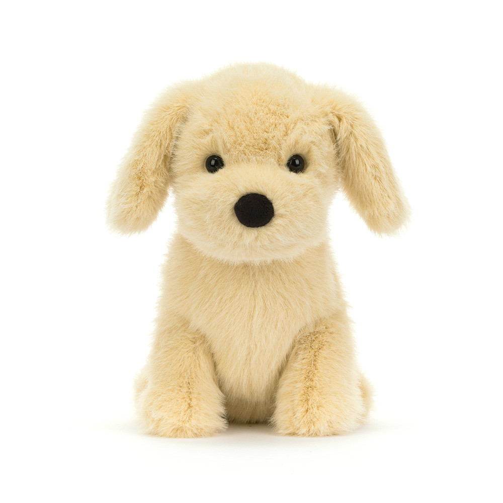 Golden Puppy — image 5