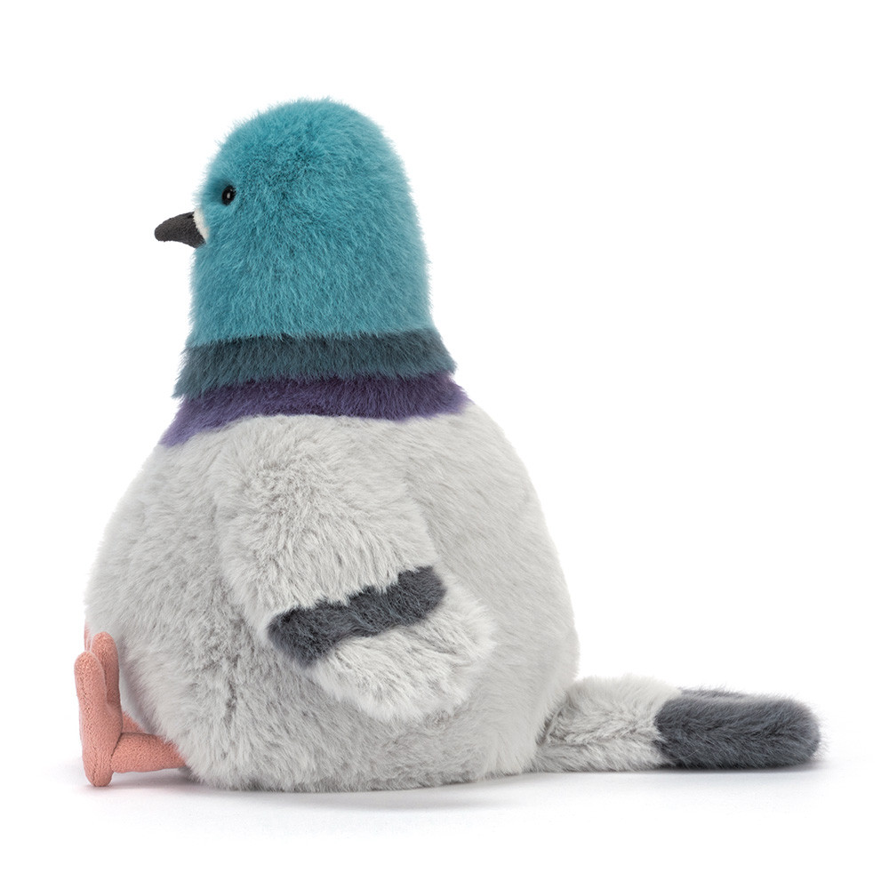 Strutton Pigeon — image 3
