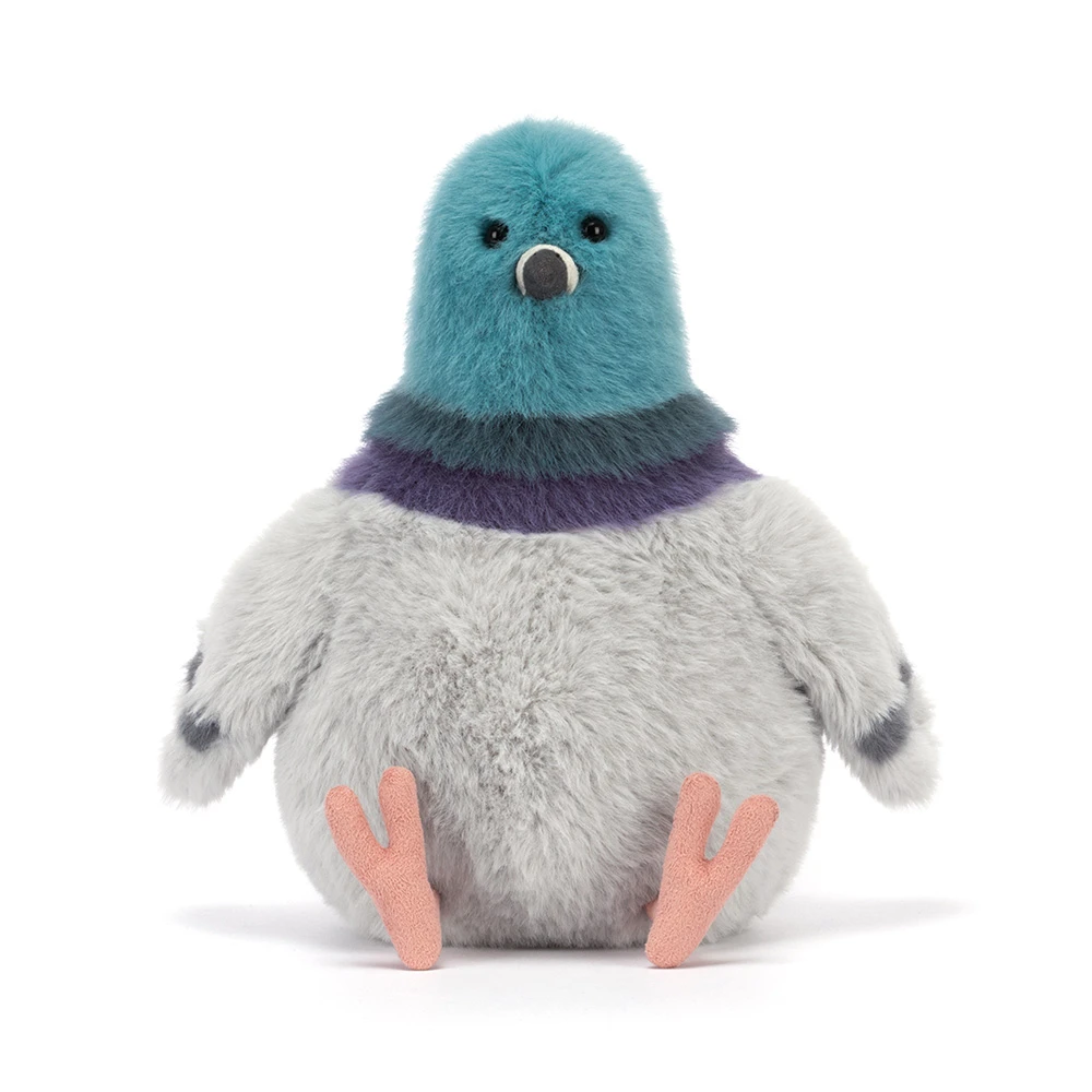 Strutton Pigeon — image 5