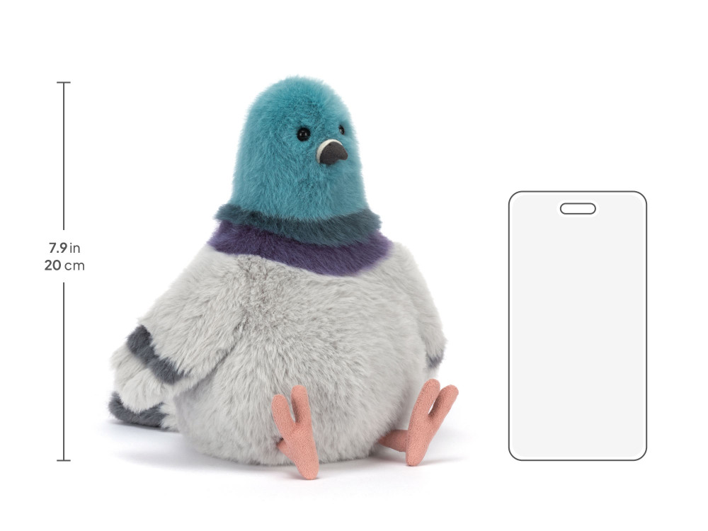 Strutton Pigeon — image 6