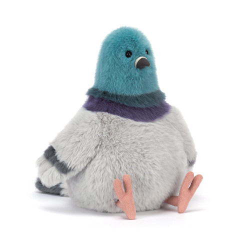 Strutton Pigeon — image 7